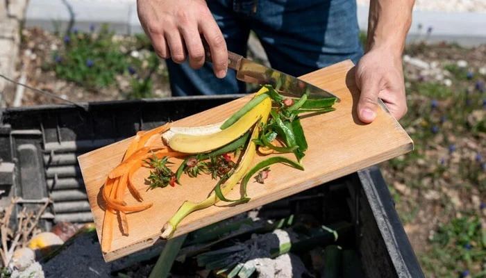 Receitas de adubo caseiro para plantas: chá de casca de banana e chá de samambaia