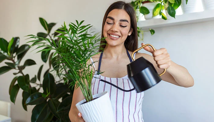 Cuidados Essenciais com Plantas