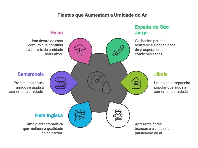 Plantas que aumentam a umidade do ar