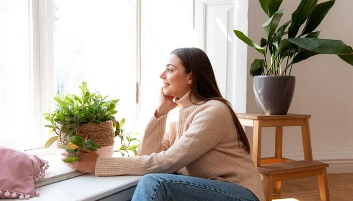 benefícios das plantas que aumentam a umidade do ar