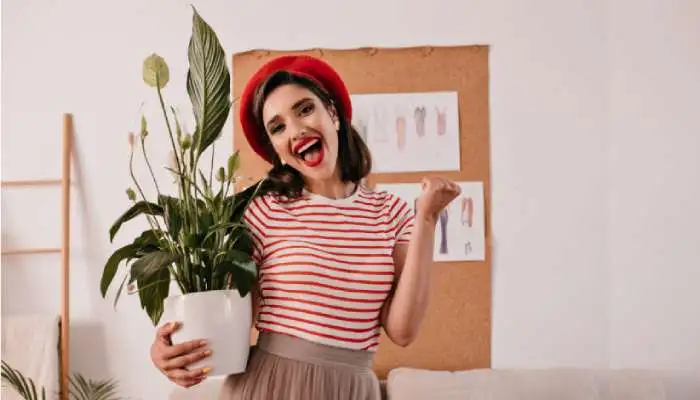 Plantas para um lar feliz e livre de estresse