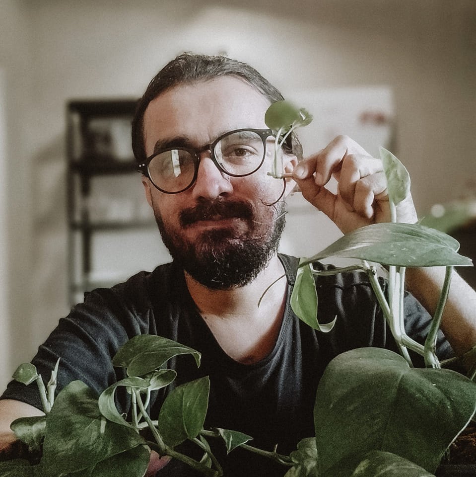 foto plantas e lar