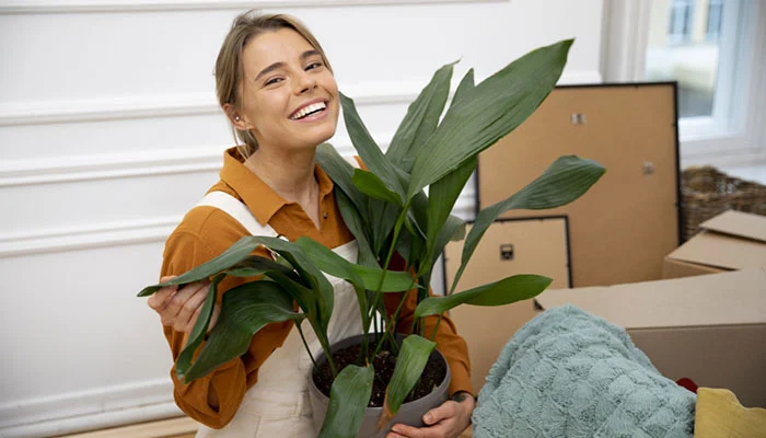 Plantas Reduzem o Estresse e melhoram seu bem-estar