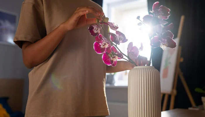 Foto de uma orquídea recebendo luz indireta perto de uma janela