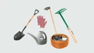Melhores ferramentas de jardinagem para um jardim perfeito