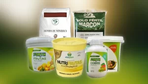 Jardim exuberante com plantas saudáveis e fertilizantes visíveis, representando os melhores fertilizantes para plantas