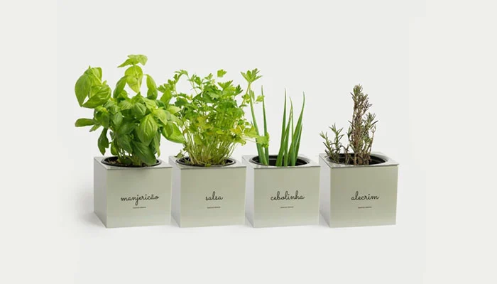 Horta doméstica com ervas e hortaliças cultivadas em vasos autoirrigáveis