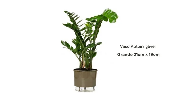 Vaso autoirrigável grande ideal para plantas grandes e floridas em varandas e jardins