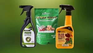 Horta saudável com pulverização de inseticidas e fungicidas para plantas